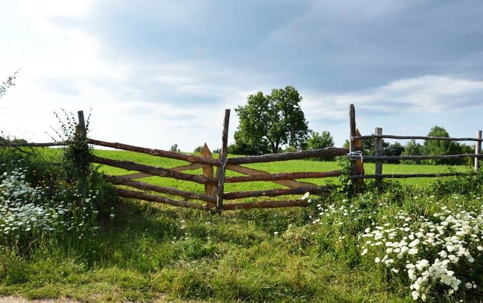 Лоджи Balkana Village Kalaydzhii-36